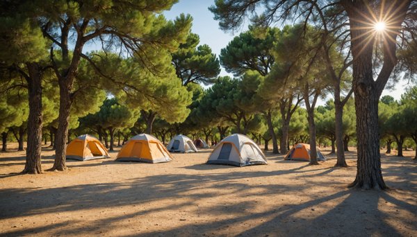 Découvrez le camping drome le garrigon au cœur de la provence