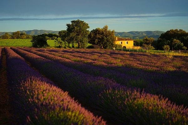 Quels sont les services et les équipements d'une location de mobil home en Provence pour des vacances réussies ?