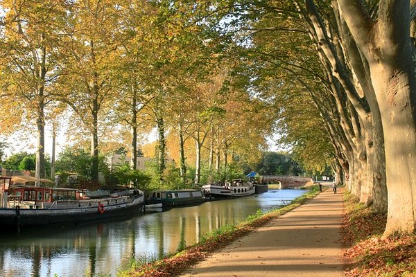 Vacances inoubliables dans les campings de Toulouse